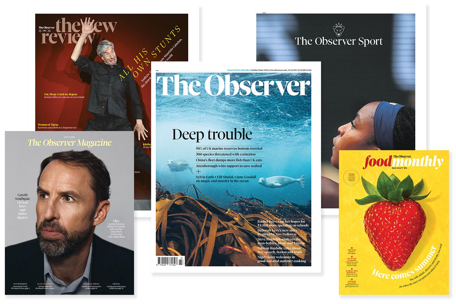 The Observer Newspaper